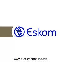 Eskom Internship Programme