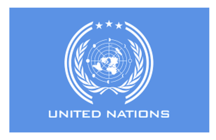 United Nation Essay Competition
