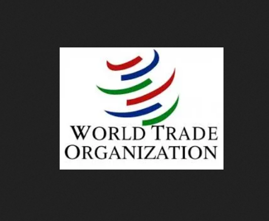 World Trade Organisation (WTO) PhD Internship Programme
