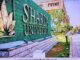 Sharda University Scholarship