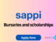 Sappi Bursaries and Scholarship