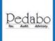 Pedabo Professional Services Young Talents Program