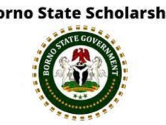 Borno State Scholarship